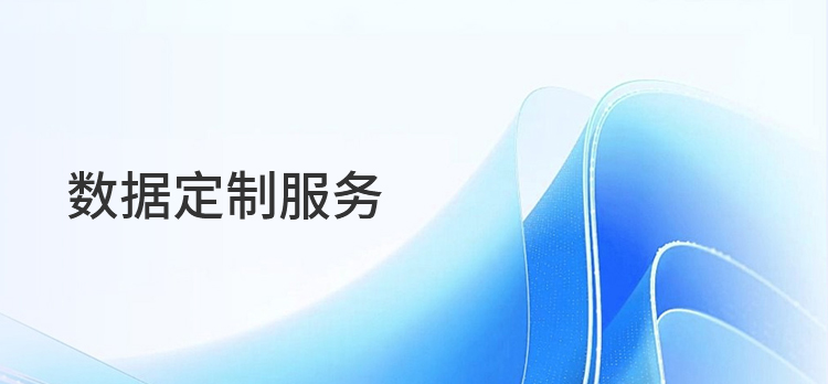 数据定制服务
